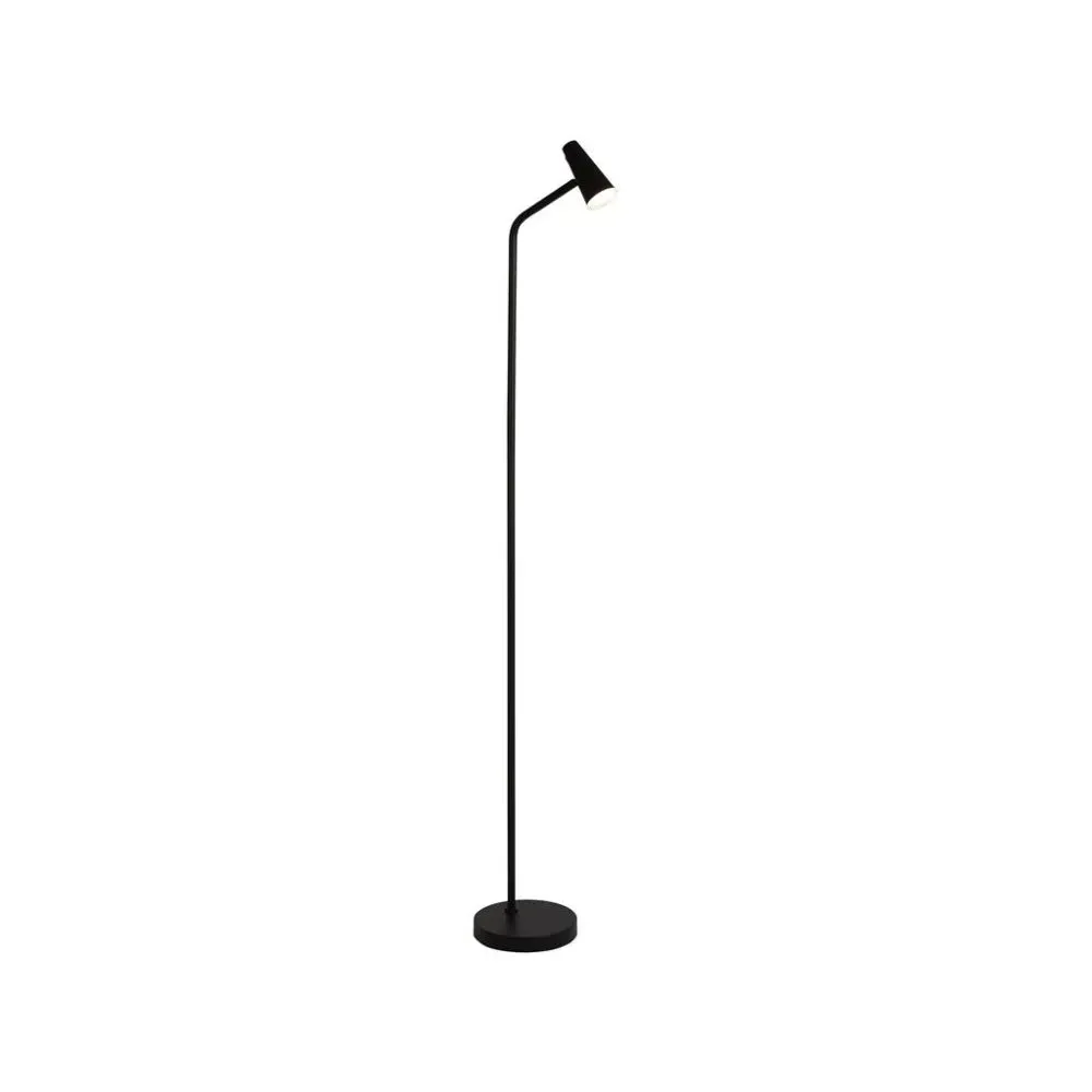 Rechargeable LED Floor Lamp - Black, Iron product