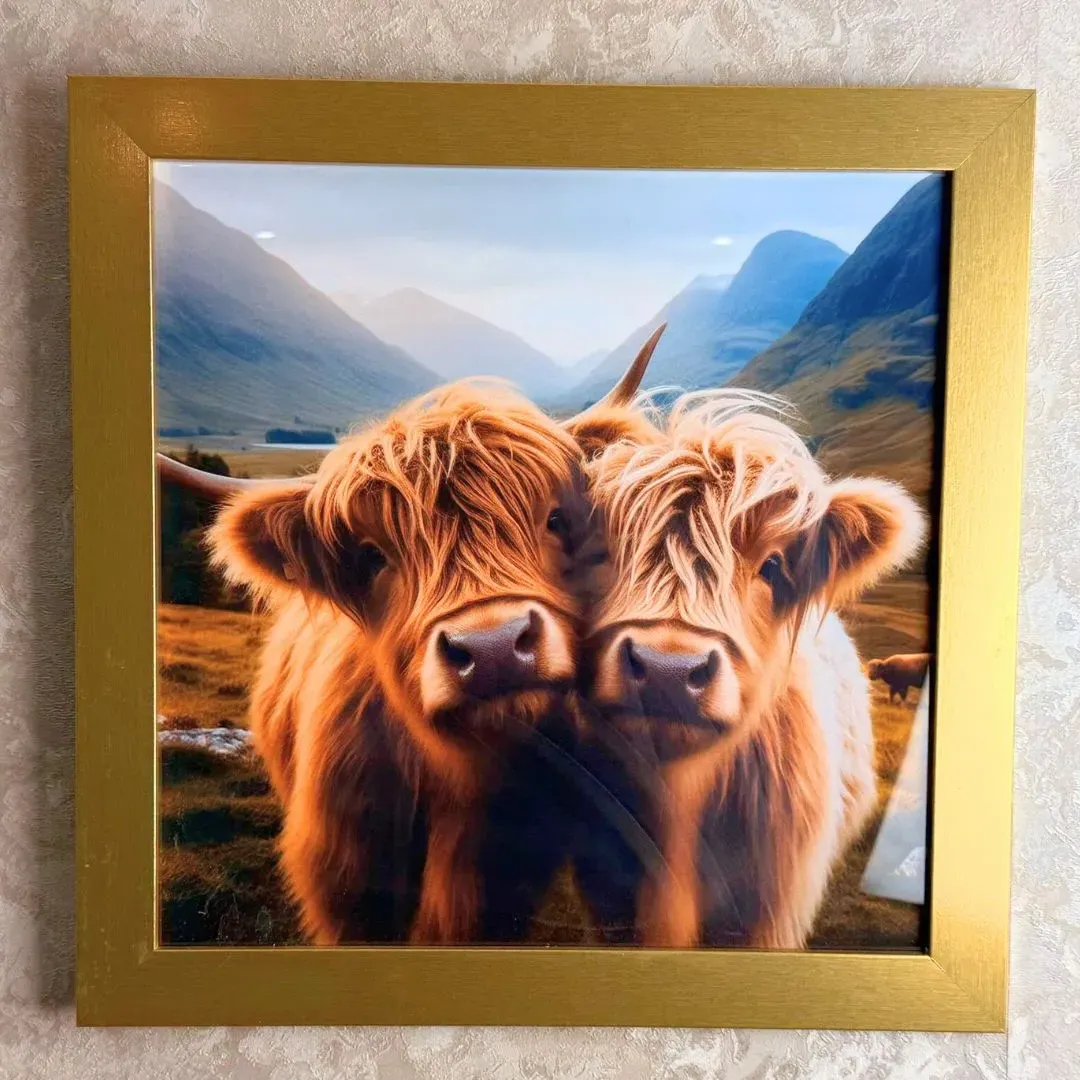 Twin Baby Highland Cows Square Wall Artwork - Gold product