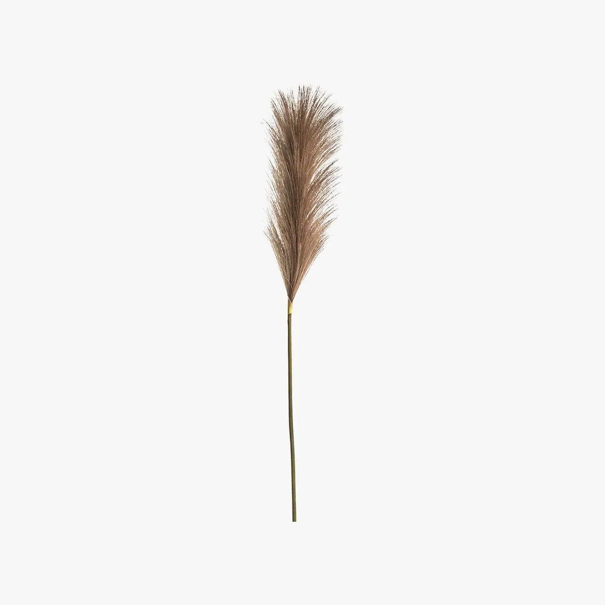 5-Piece Pampas Feather Stems - Brown, Faux product