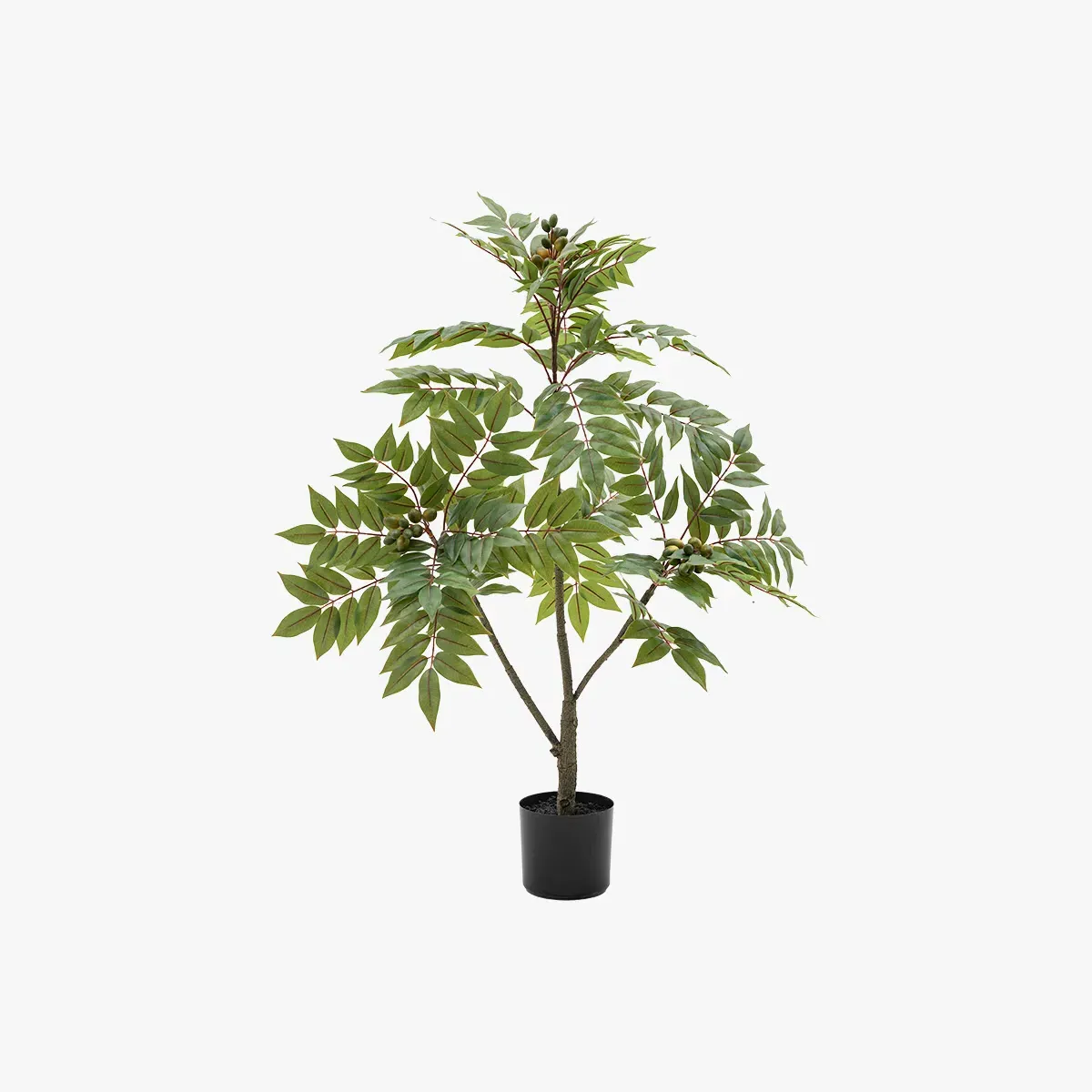 Faux Chinese White Olive Tree - Medium product