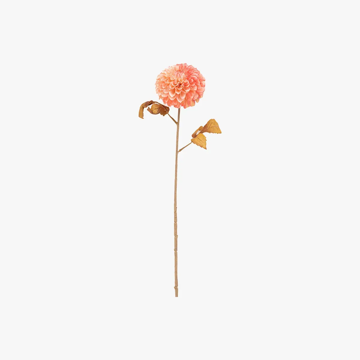 Faux Dahlia Stem Set of 6 - Apricot product