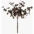 Faux Eucalyptus Stems Set of 5 - Burgundy by Perch & Parrow, image 3