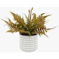 Faux Faded Fern in Ceramic White Pot by Perch & Parrow, image 2