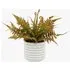Faux Faded Fern in Ceramic White Pot by Perch & Parrow, image 3