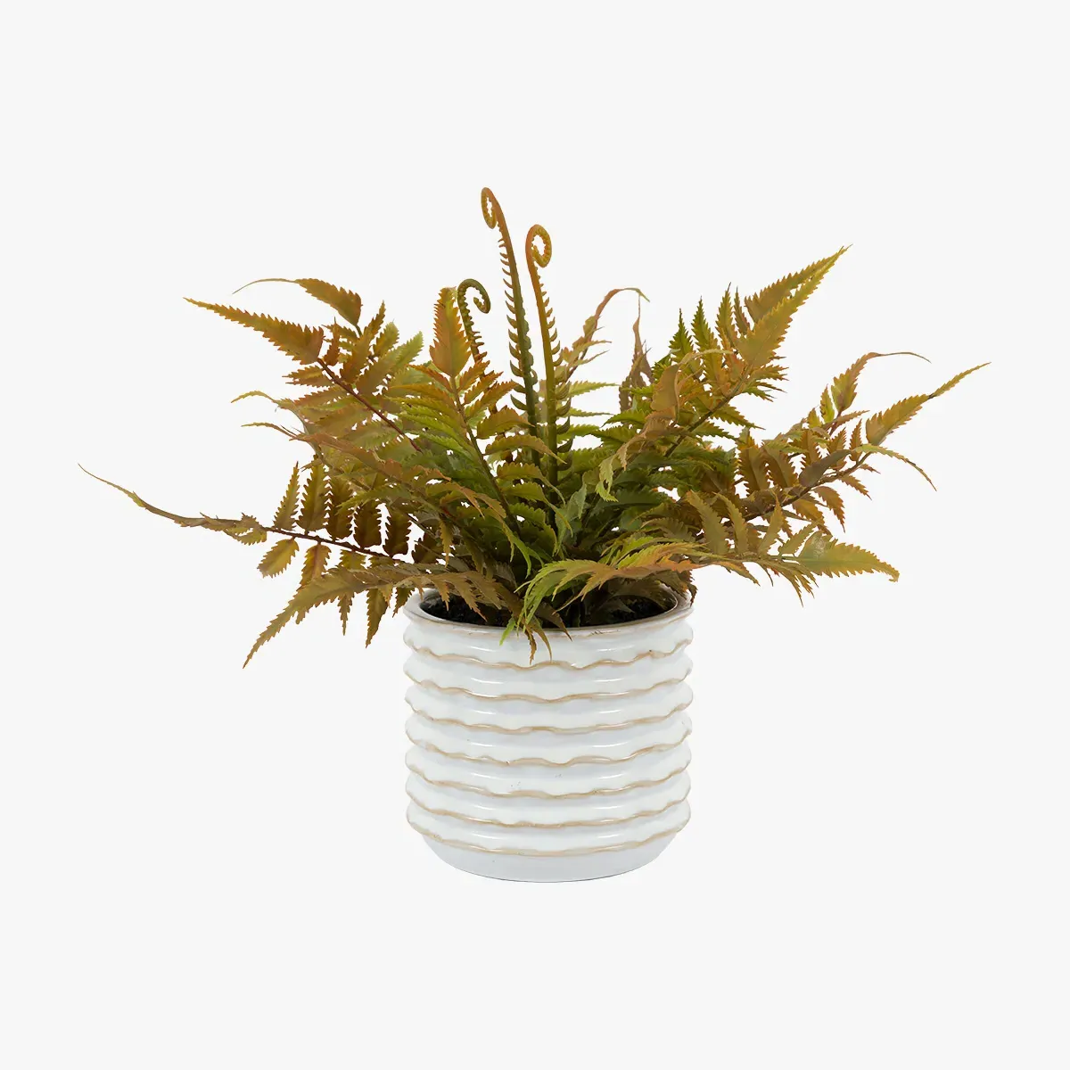 Faux Faded Fern in Ceramic White Pot by Perch & Parrow