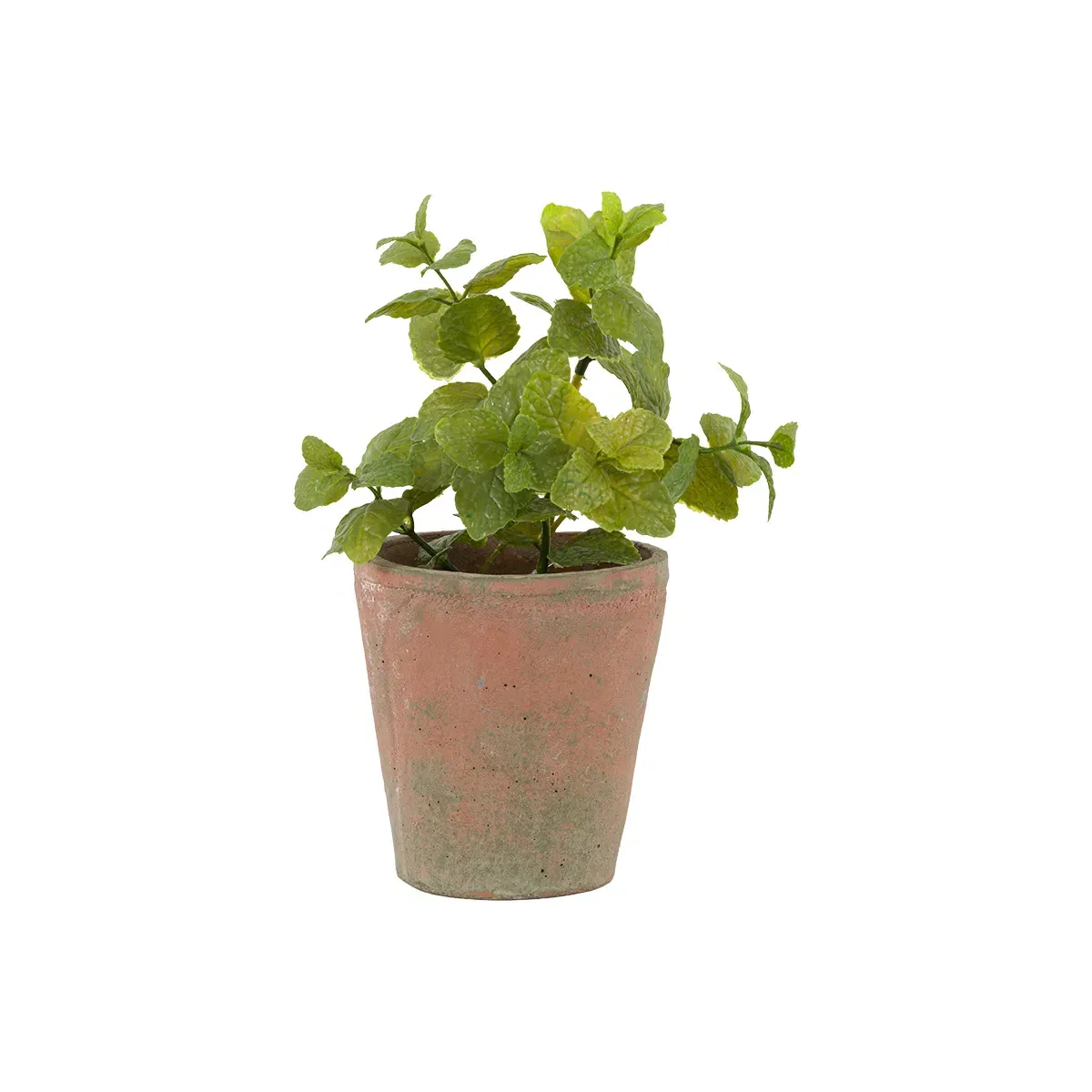 Faux Mint Plant in Terracotta Pot - Green product