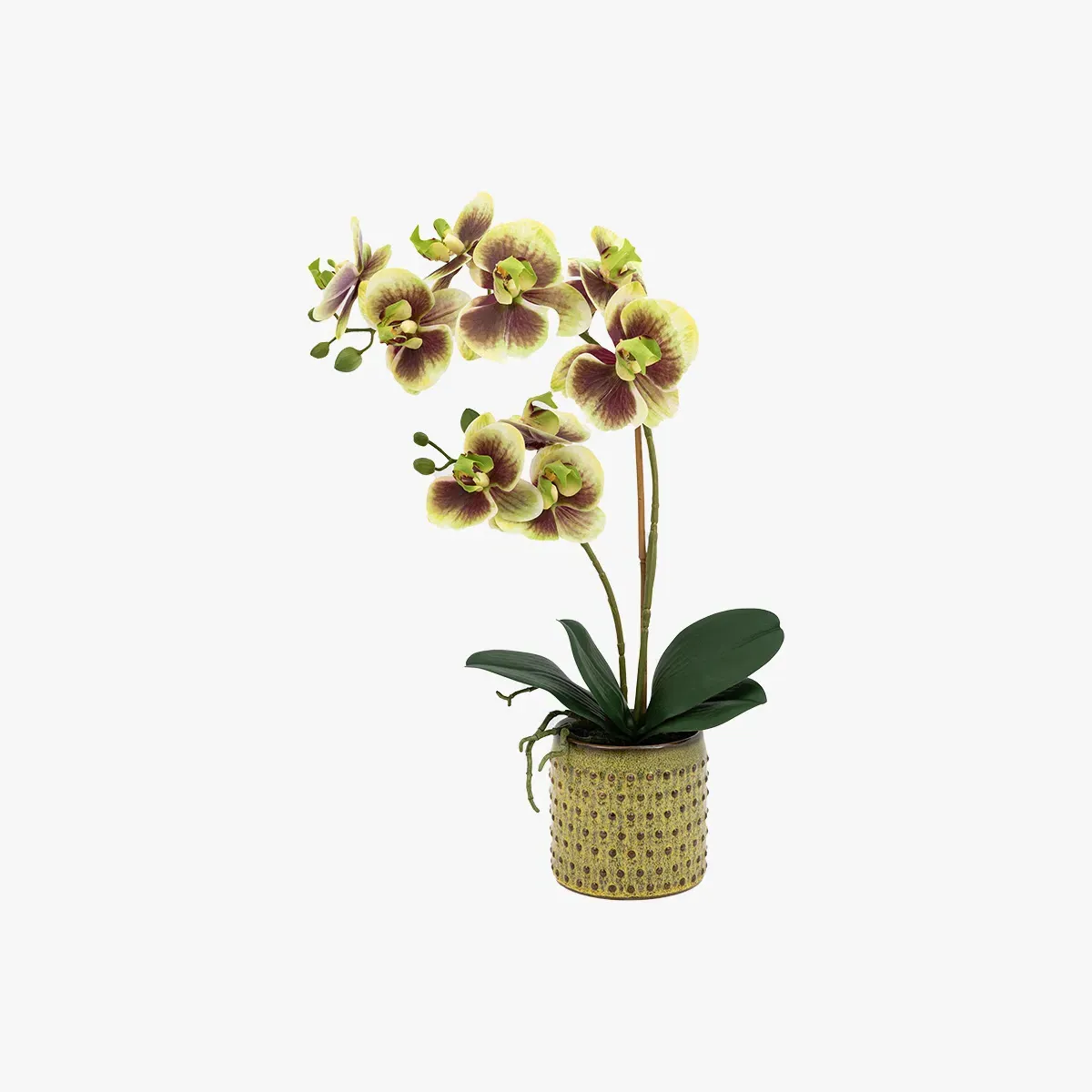 Faux Multicolour Orchid in Dotted Pot product