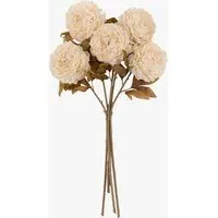 Faux Peony Stems Set of 5 - Natural by Perch & Parrow, image 2