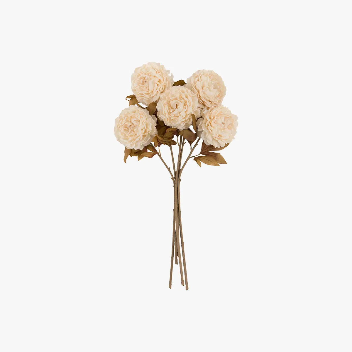 Faux Peony Stems Set of 5 - Natural by Perch & Parrow