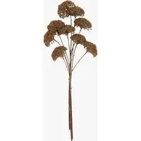 Faux Pom Pom Stems Set of 3 - Brown by Perch & Parrow, image 2