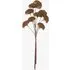 Faux Pom Pom Stems Set of 3 - Brown by Perch & Parrow, image 3