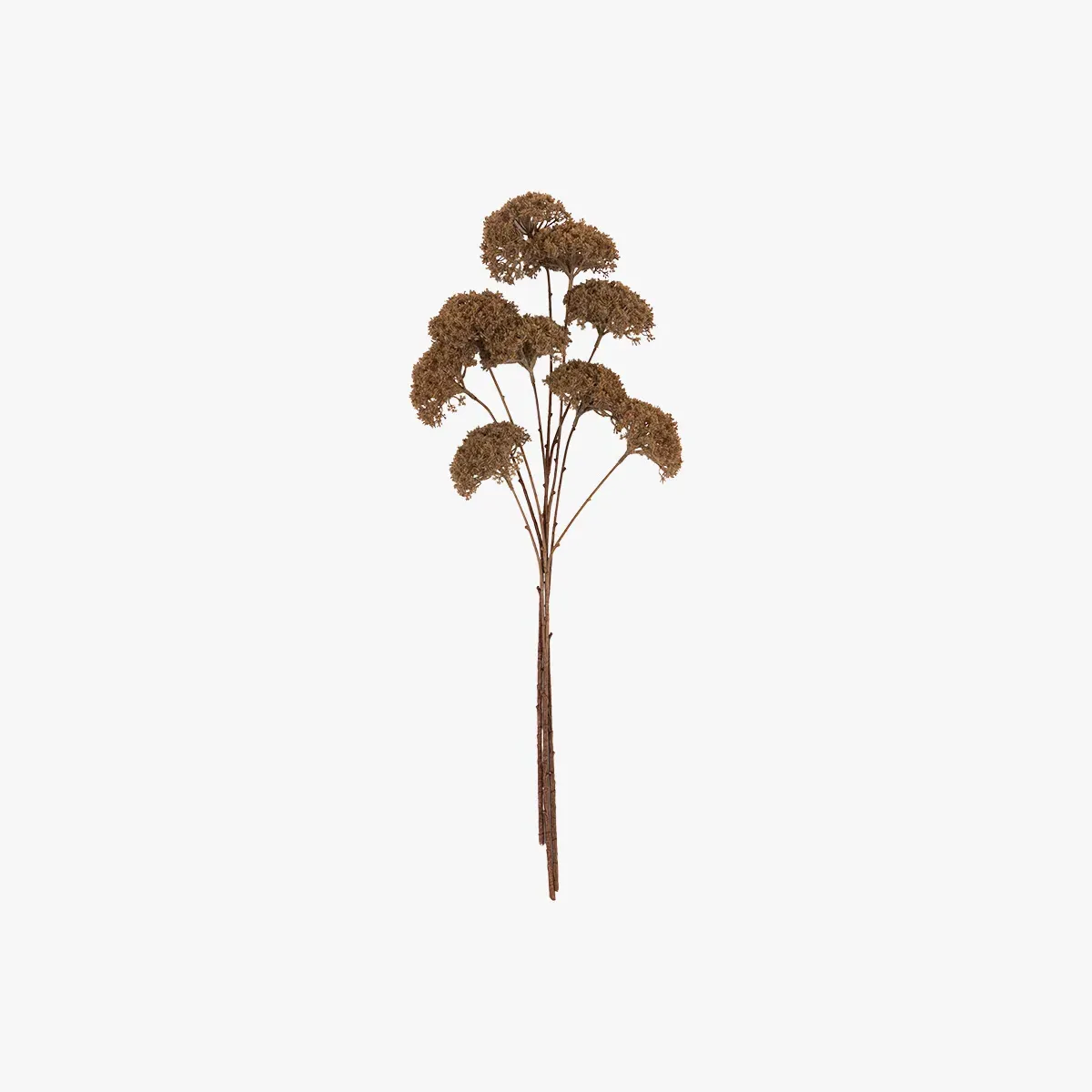 Faux Pom Pom Stems Set of 3 - Brown by Perch & Parrow