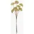 Faux Pom Pom Stems Set of 3 - White by Perch & Parrow, image 3
