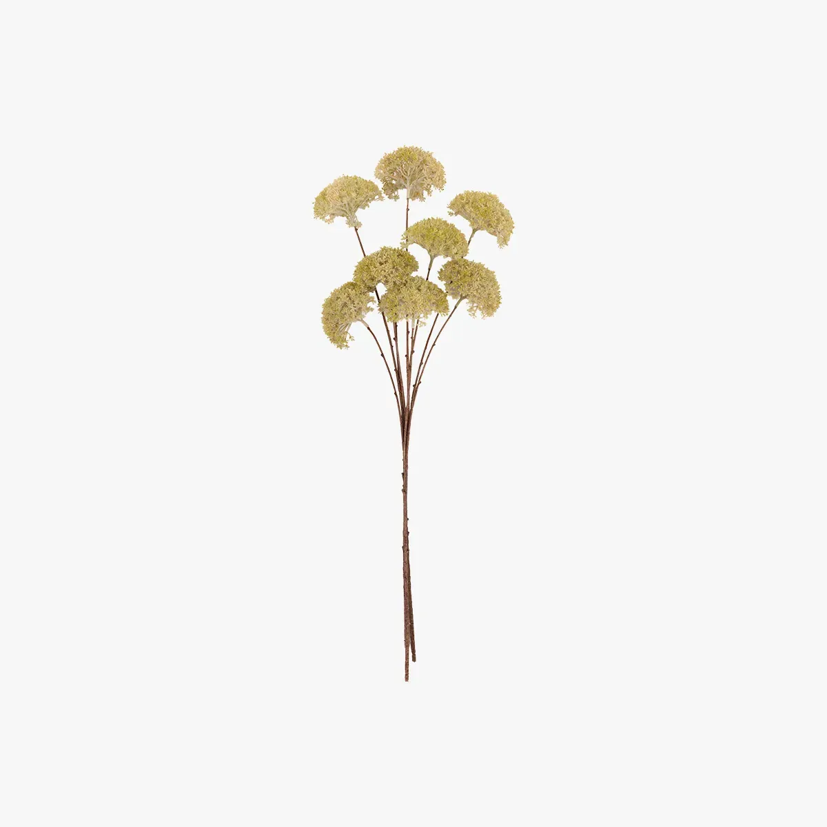 Faux Pom Pom Stems Set of 3 - White by Perch & Parrow