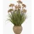 Faux Potted Grass with Brown Flowers by Perch & Parrow, image 3