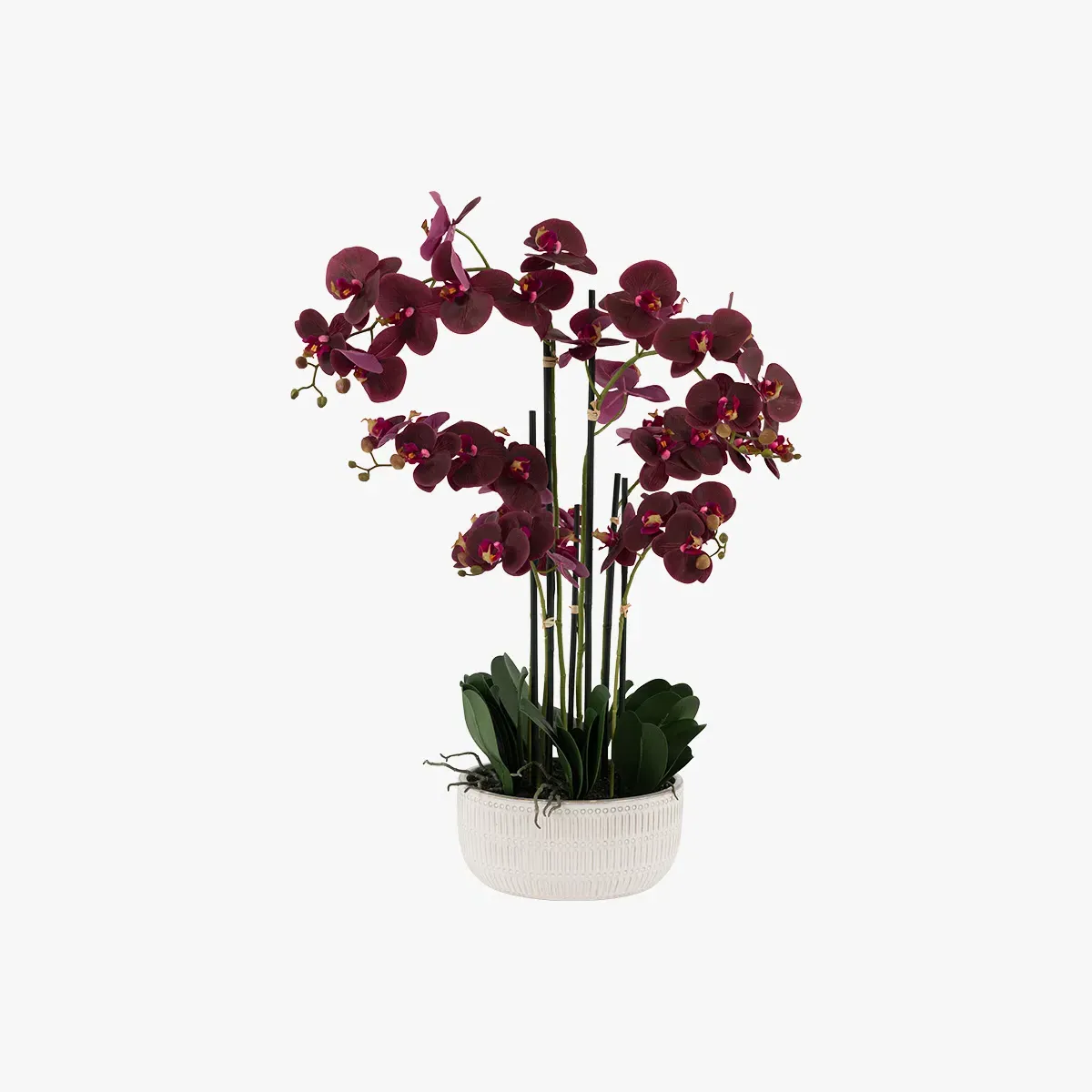 Faux Real Touch Orchid in Ceramic Ridged Pot - Plum by Perch & Parrow