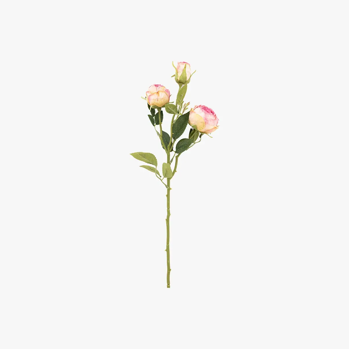 Faux Rose Stem Set of 6 - Pink product