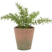 Faux Rosemary in Terracotta Pot alternate view
