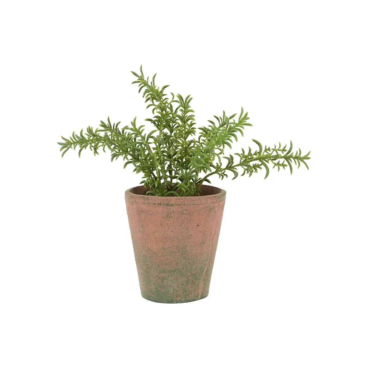 Faux Rosemary in Terracotta Pot product