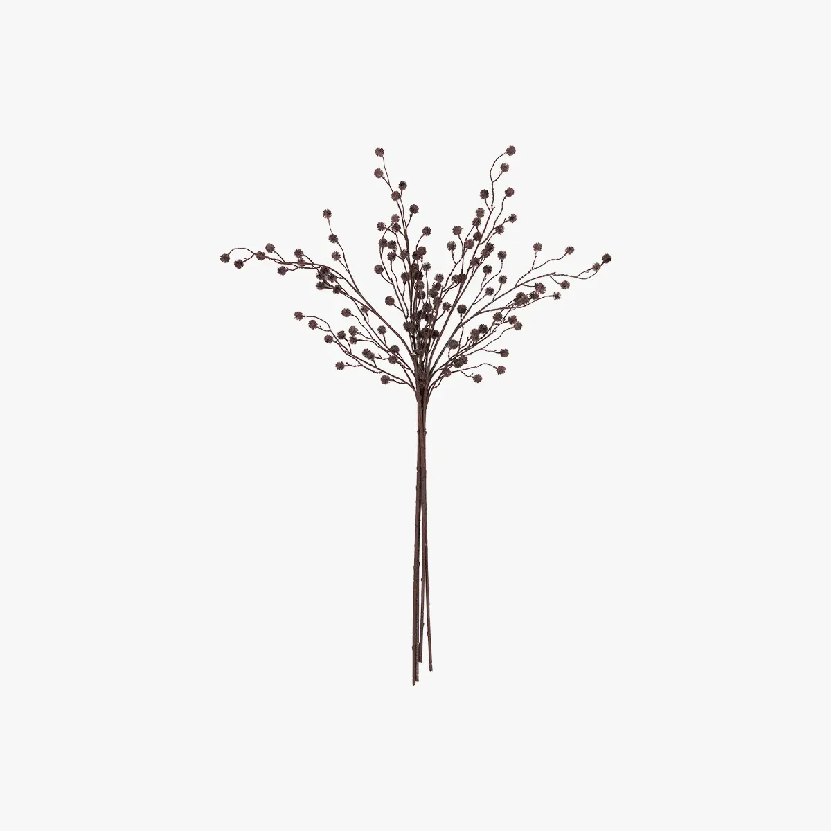 Faux Rustic Berry Stem Set of 5 - Brown by Perch & Parrow