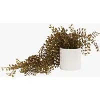 Faux Trailing Vine in Rustic Pot - Brown by Perch & Parrow, image 2