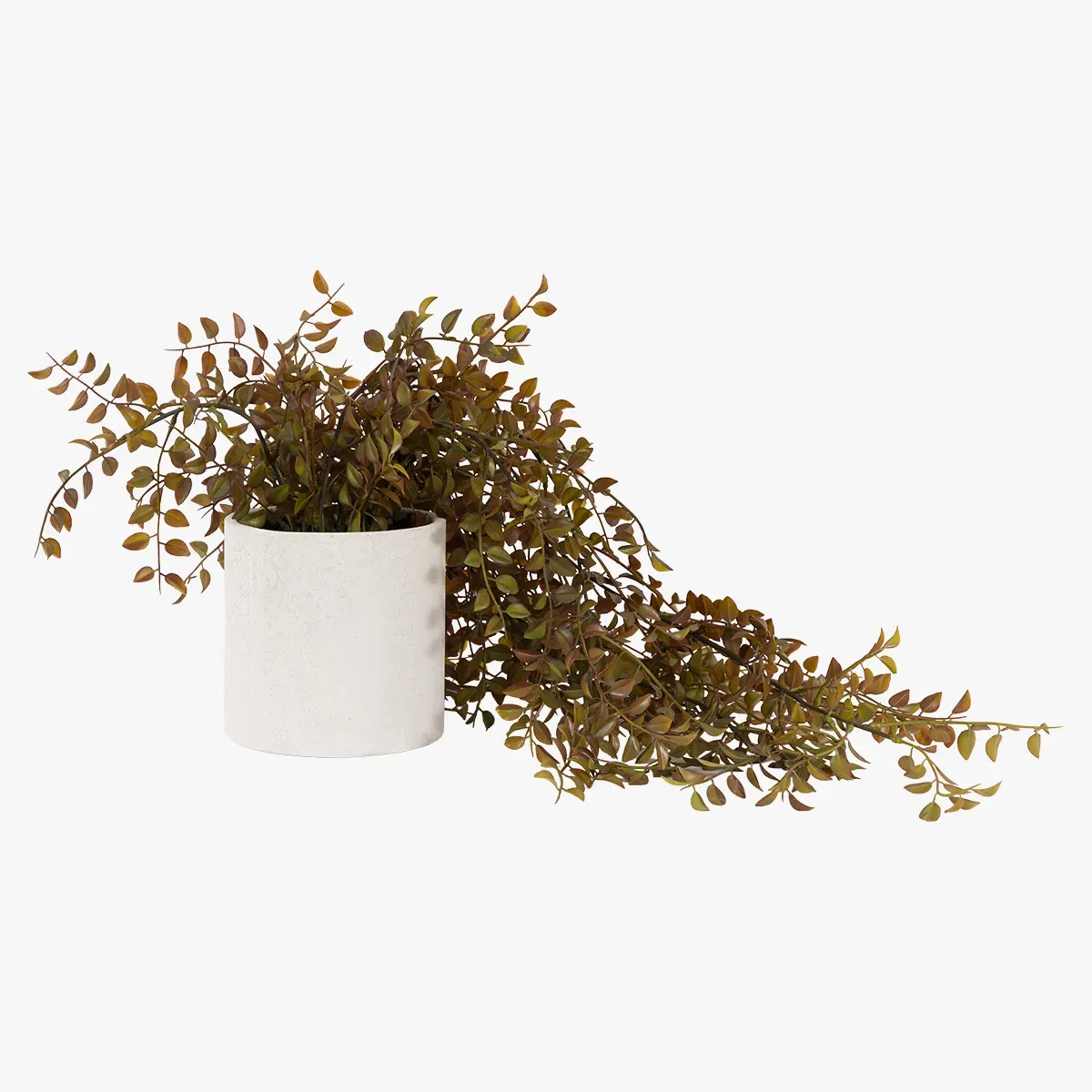 Faux Trailing Vine in Rustic Pot - Brown by Perch & Parrow