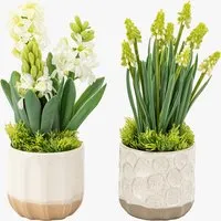 Faux White Hydrangea in Ceramic Pot, Set of 2 by Perch & Parrow, image 2