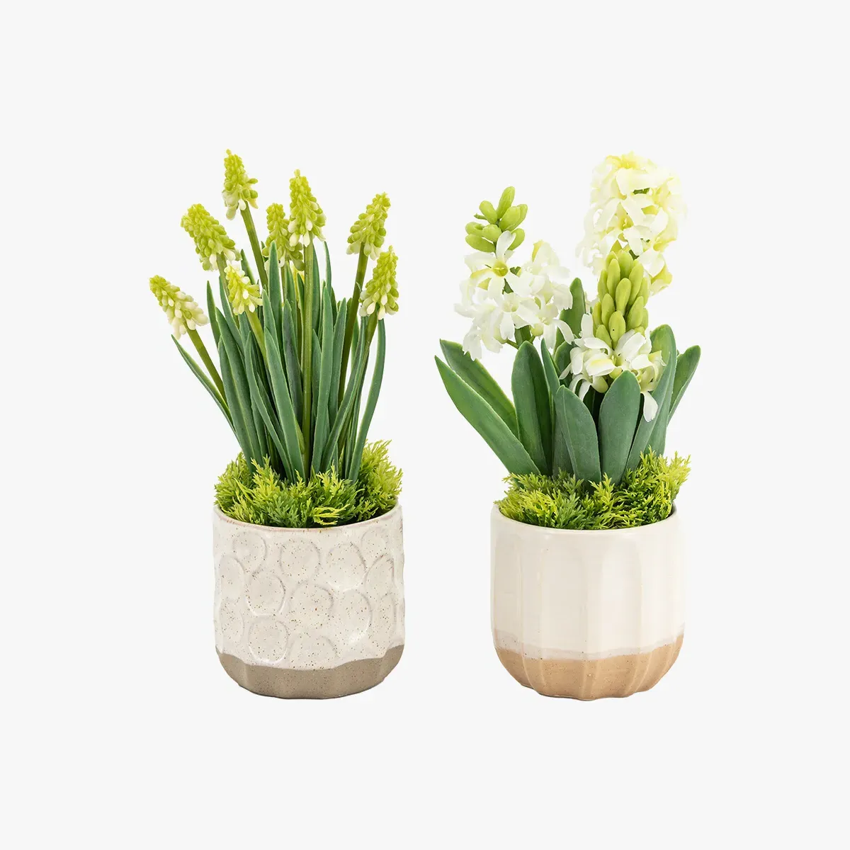 Faux White Hydrangea in Ceramic Pot, Set of 2 by Perch & Parrow