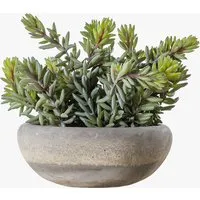 Large Faux Sedum Plant - Green, Cement Pot alternate view