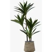Solana Faux Yucca Tree - Green, Ceramic alternate view