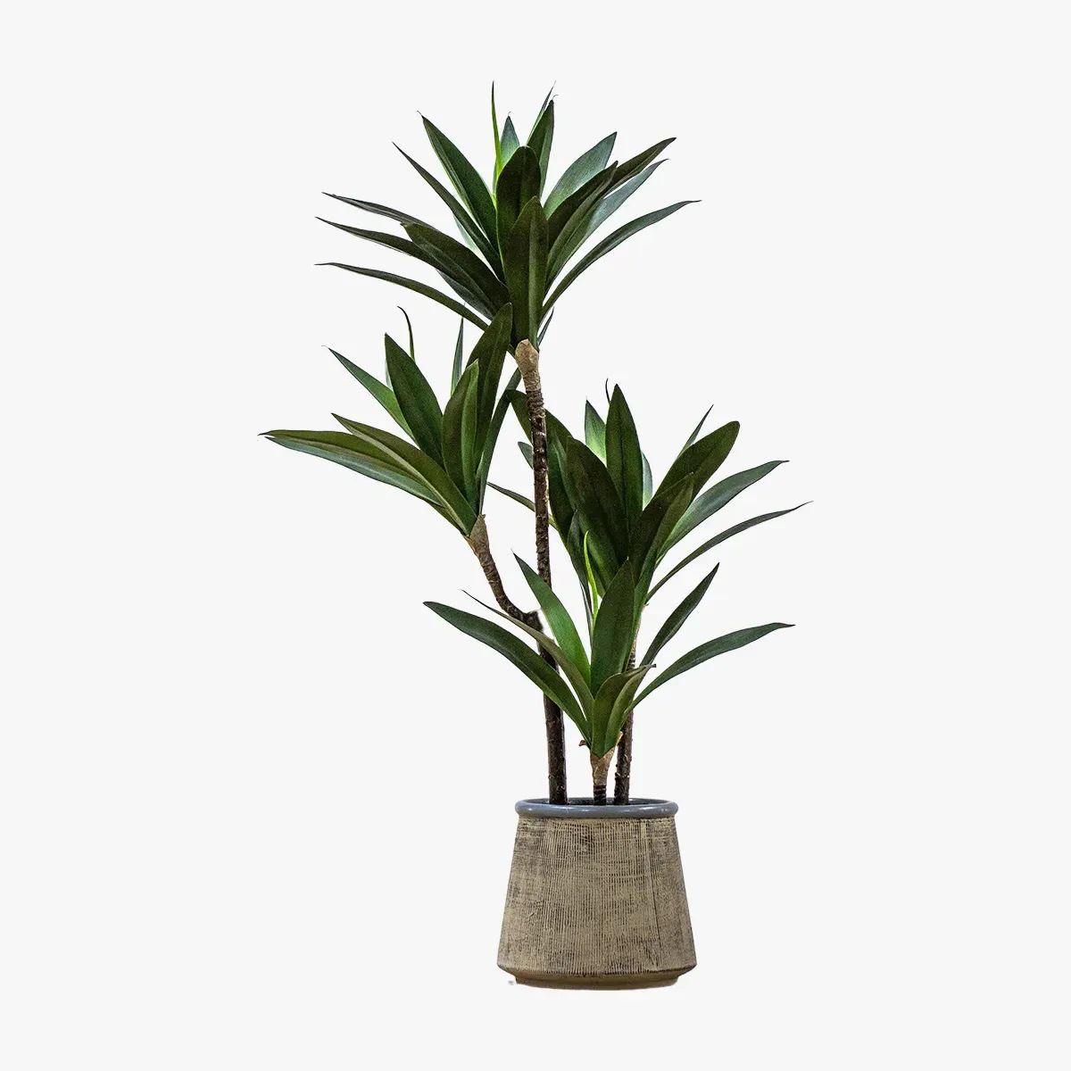 Solana Faux Yucca Tree - Green, Ceramic product