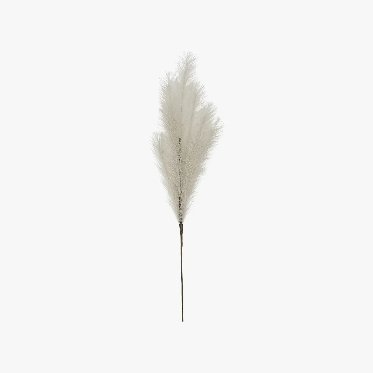 stipa-feathered-spray-in-grey-pack-of-6 image