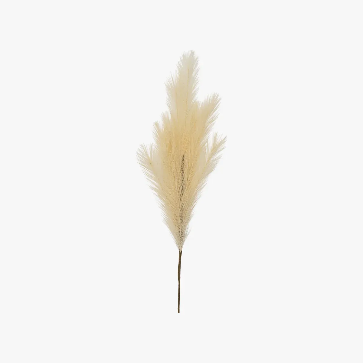 stipa-feathered-spray-in-ivory-pack-of-6 image