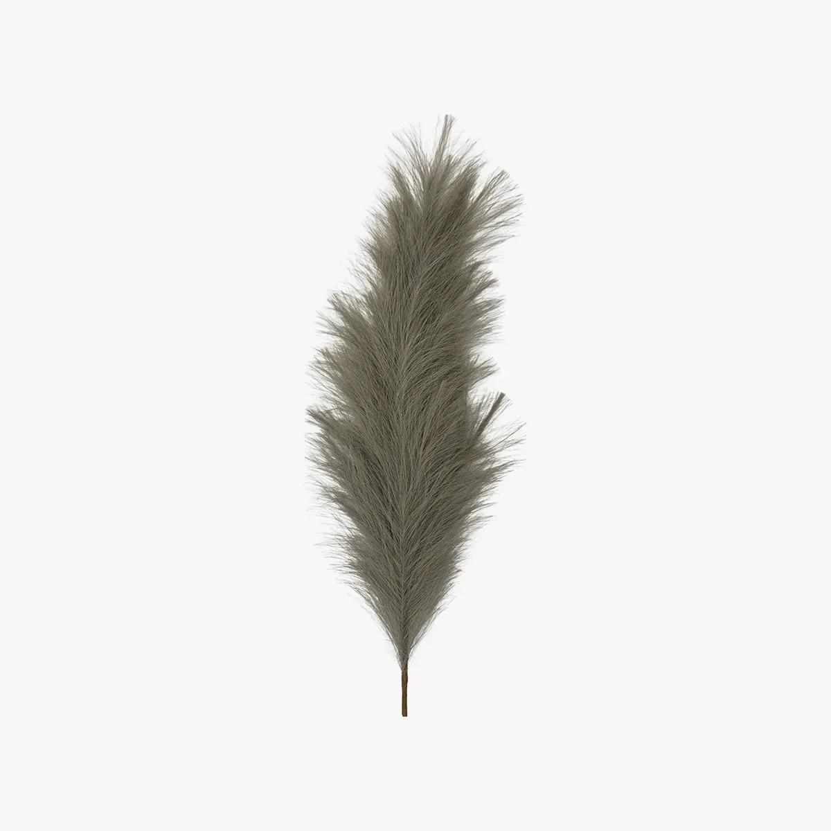 stipa-feathered-stem-in-grey-and-green-pack-of-3 image