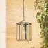 Cromer IP44 Exterior Hanging Lantern - Antique Brass by Pooky, image 3