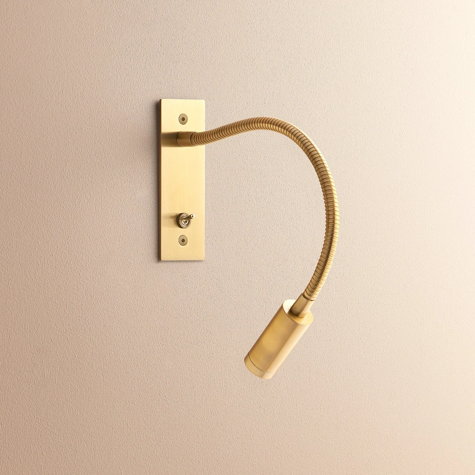 Flex Wall Light with Adjustable Arm - Antique Brass product