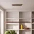 Glade Regular Pendant Light - Dark Walnut by Pooky, image 3