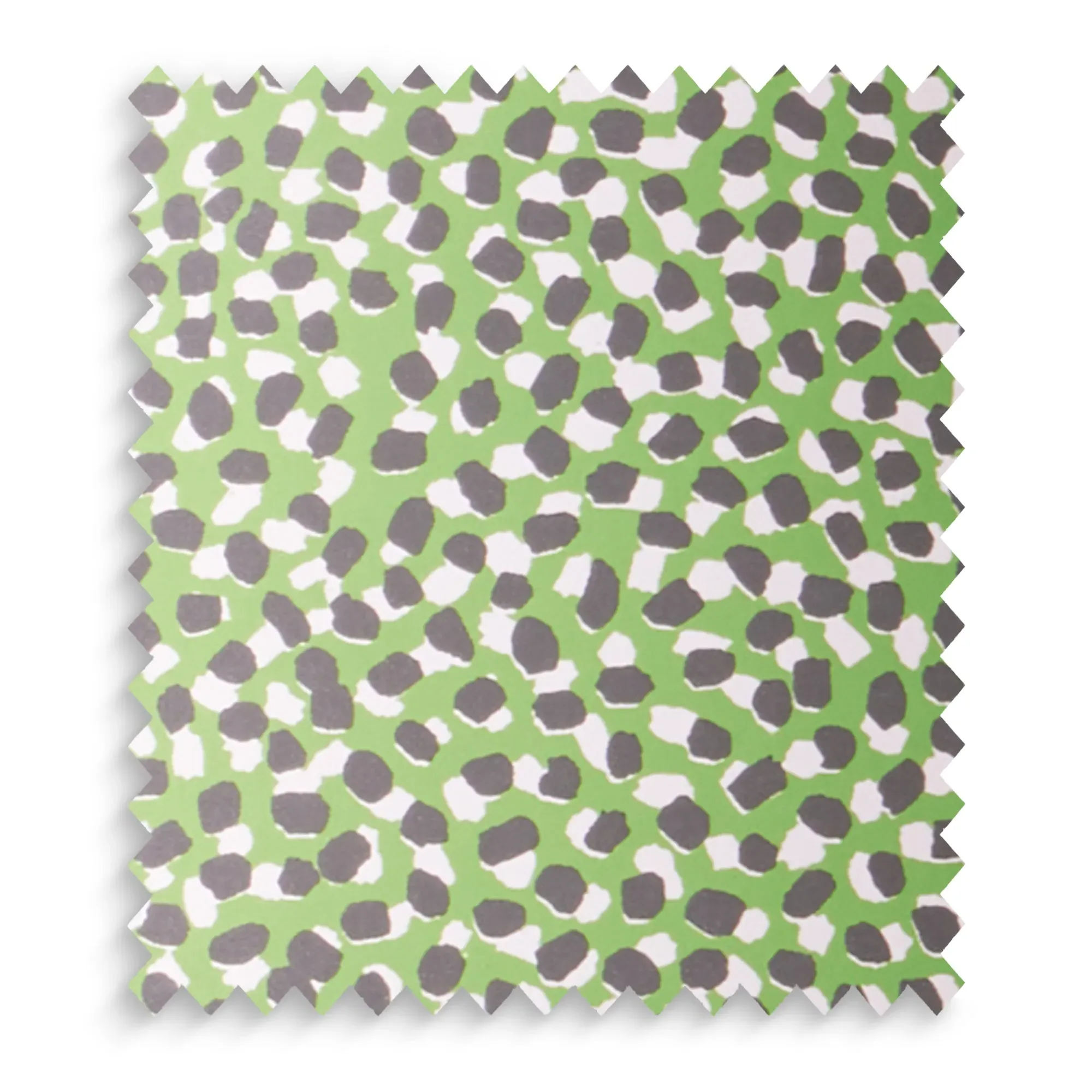 GP & J Baker Polka Dot Lamp Shade Swatch - Green, Paper by Pooky