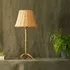 Incy Table Lamp - Antique Brass by Pooky, image 3
