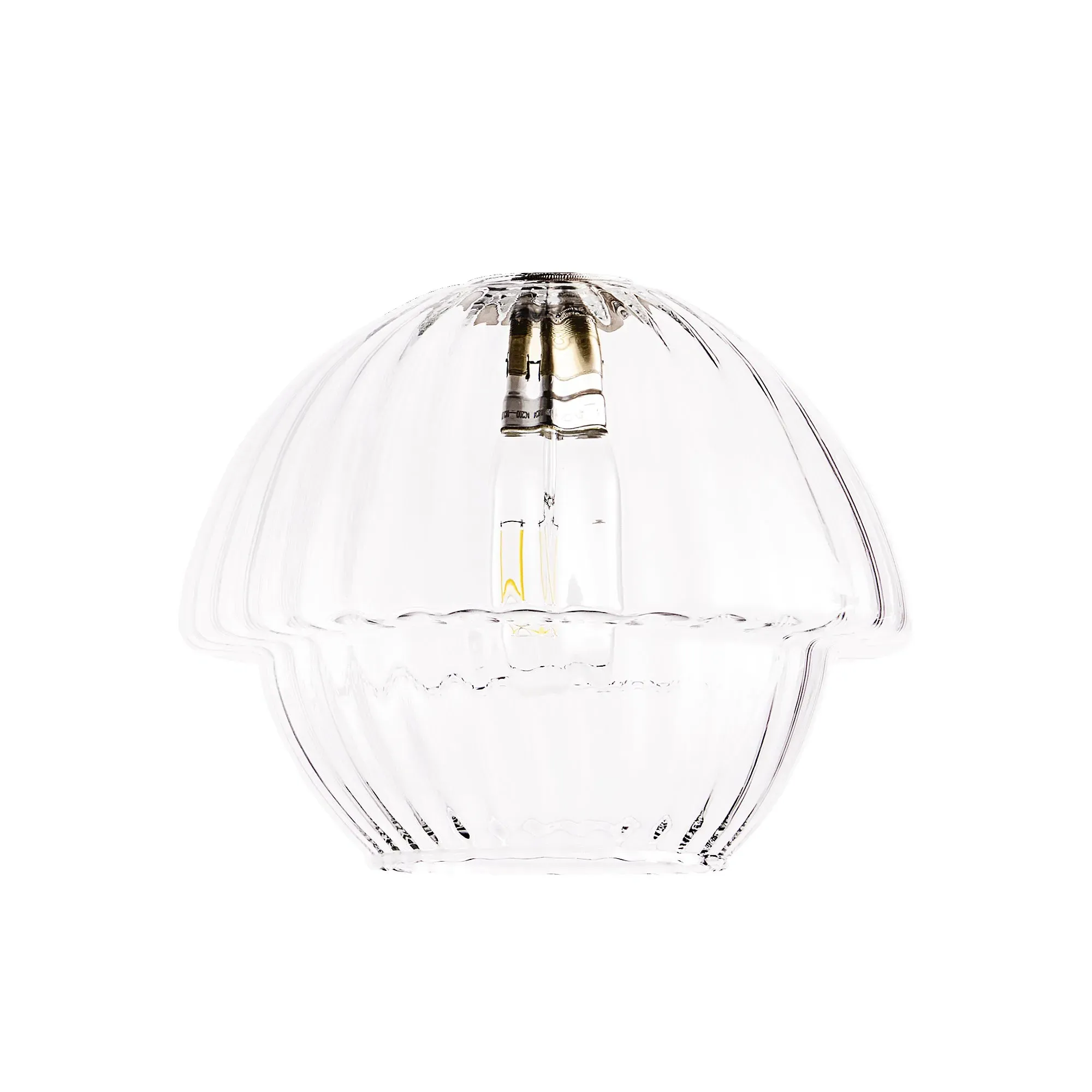 Picchu Pendant Light - Clear Glass product