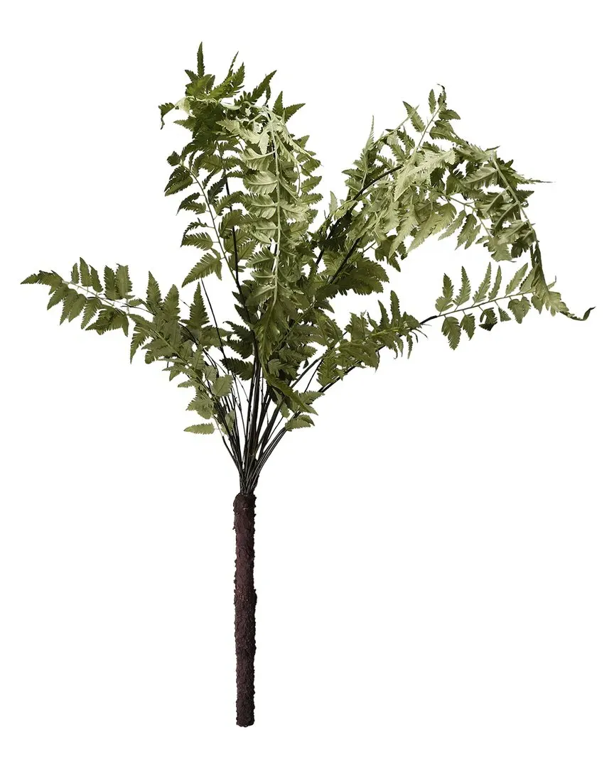 60in Wood Fern Bush - Green image