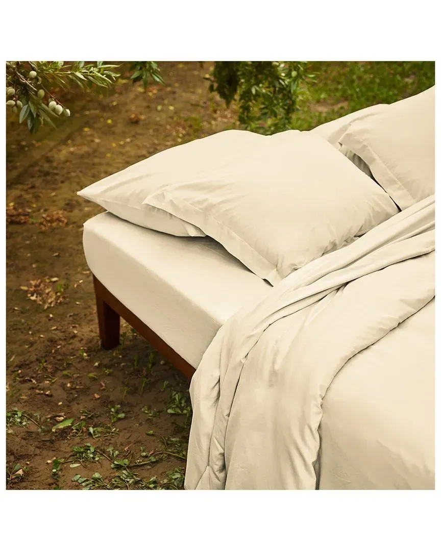 Sunset Brushed Cotton Percale Fitted Sheet - Ivory image