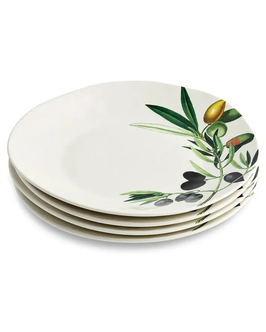 Olivia Set of 4 Dinner Plates - Multicolor, Stoneware
