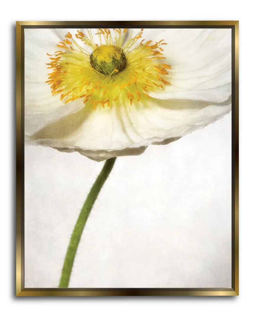 Alabaster Flutter Gallery Framed Canvas Wall Art