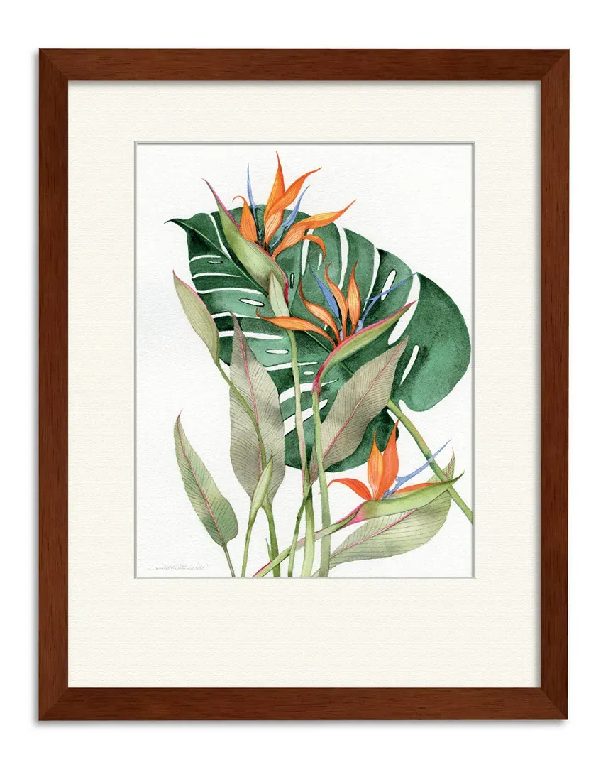 Botanical Birds of Paradise Gallery Collection Framed Art