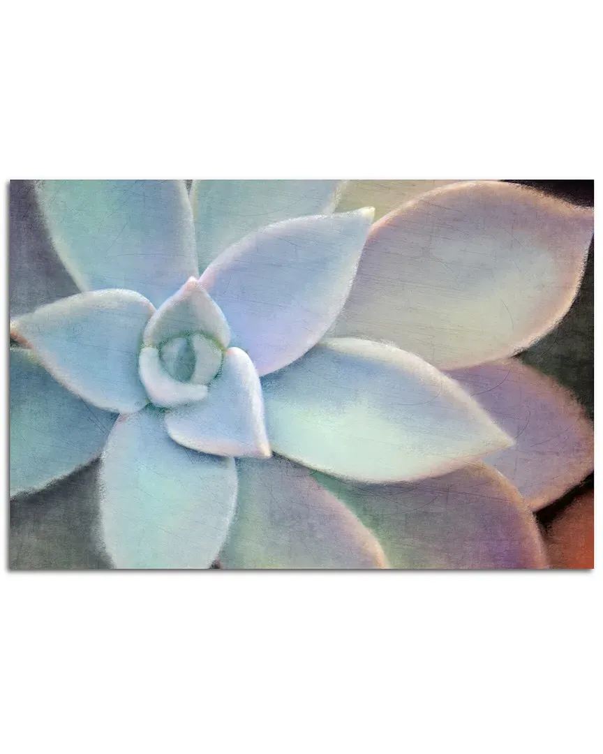 Succulent Softly Canvas Wall Art image