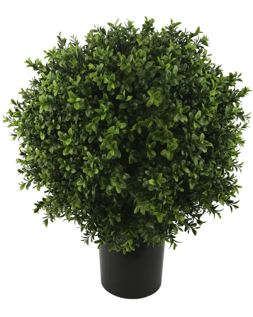 23.5in Boxwood Topiary - Green image