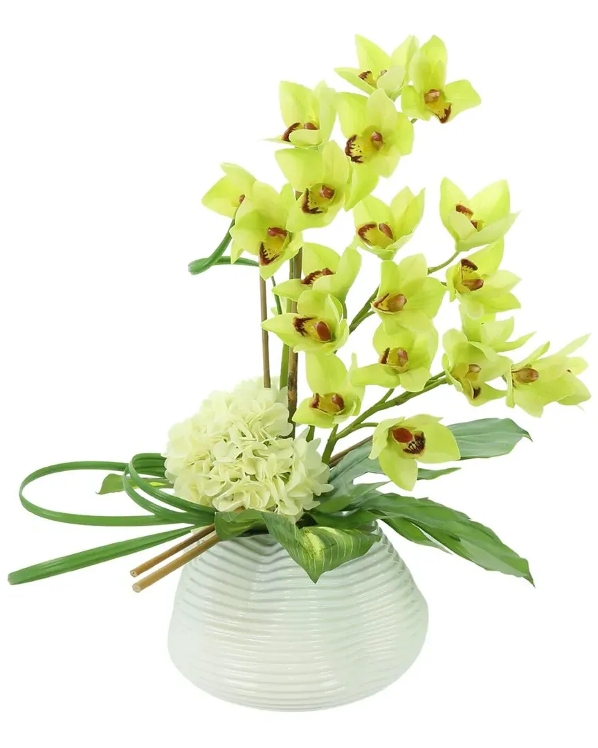 Green Orchid with White Hydrangea Floral Arrangement image
