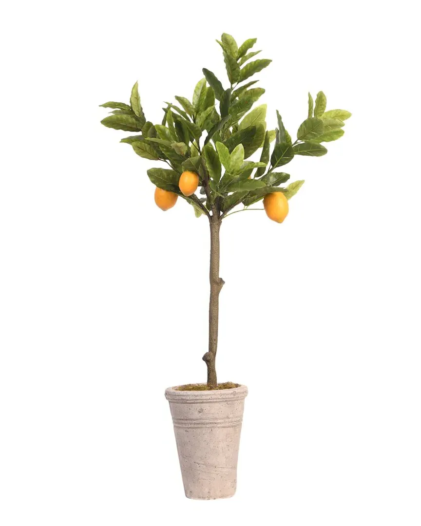 36in Lemon Tree in Round Stone Planter - Green