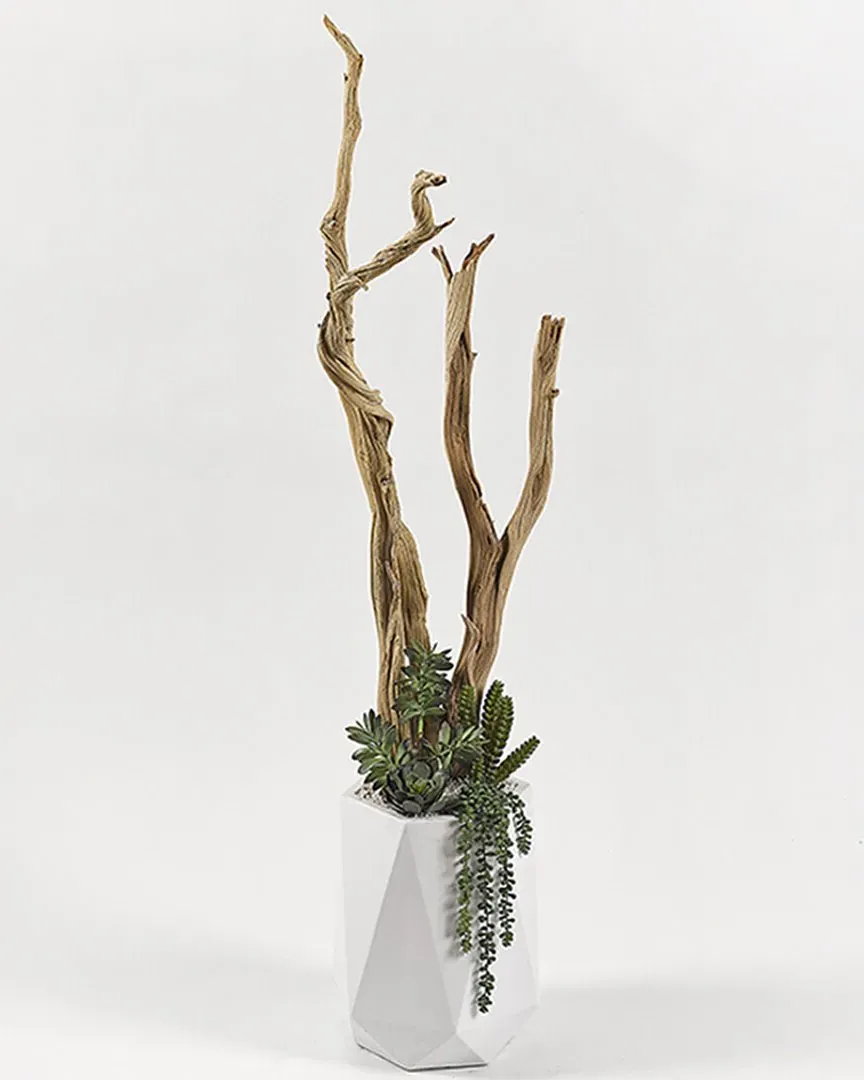 5Ft Ghostwood Succulents Greenery Planter - White, Resin